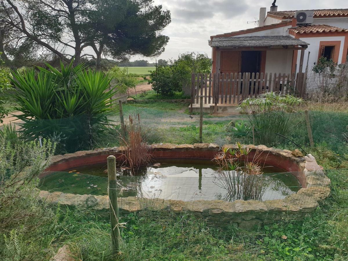 Hébergement de vacances Tranquilidad Y Naturaleza A 800m Playa Migjorn