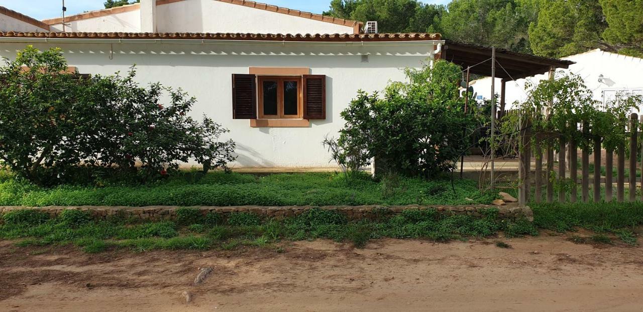 Tranquilidad Y Naturaleza A 800m Hébergement de vacances *